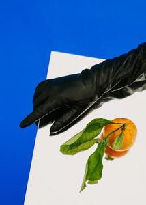 CAROLINA AMATO FW23 COLLECTION IMAGE FEATURING LEATHER GLOVES